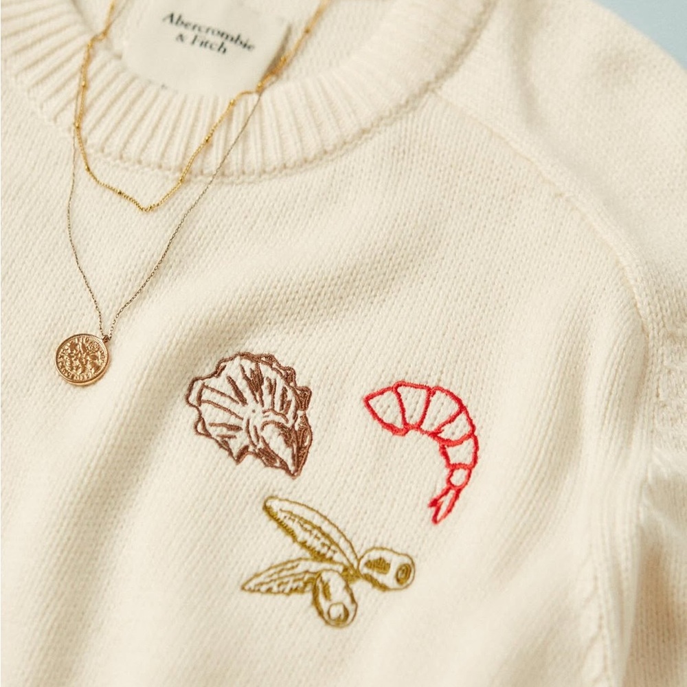 NWT Abercrombie & Fitch Madeline Coastal Crew Sweater